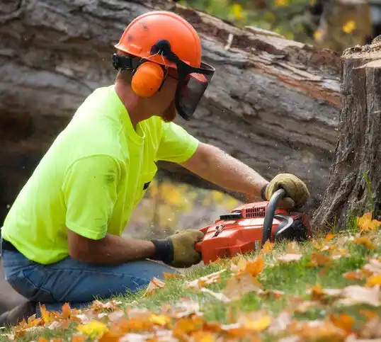 tree services Huntersville